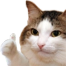Cethumbupkitty Discord Emoji